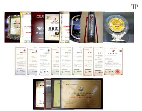 緹派多功能智能衛浴工程技術研究中心榮獲市級認定，引領技術咨詢新篇章