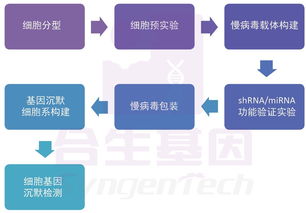 合生基因 基因沉默技術的前沿咨詢與行業應用