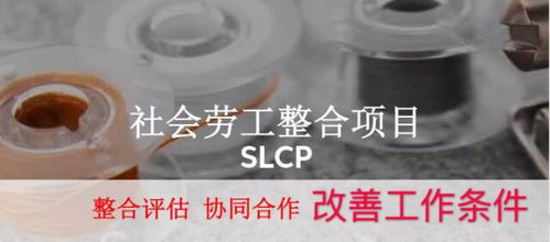 SLCP驗廠咨詢?nèi)馕?蘇州綠加環(huán)保的技術(shù)支持與高清圖像應(yīng)用